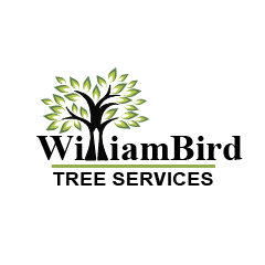 WBTreeServices
